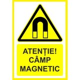 Placuta pentru camp magnetic