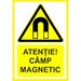 Placuta pentru camp magnetic